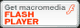 FlashPlayer