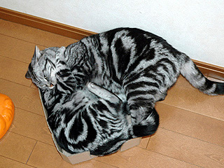 05