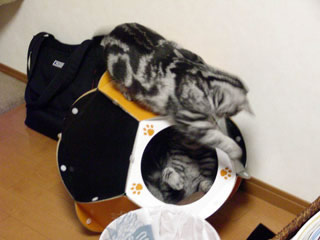 08