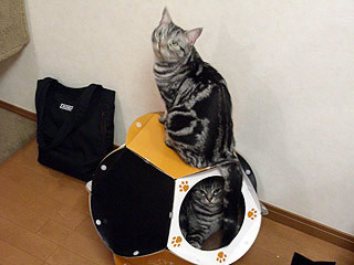 09